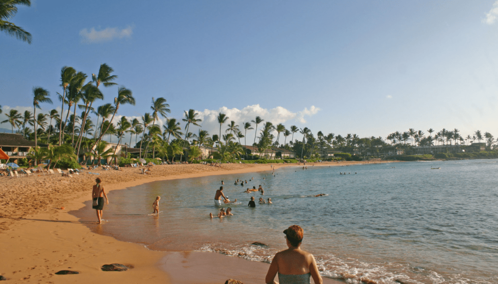 Napili Bay_ Relaxed Vibe and Turtle Spotting