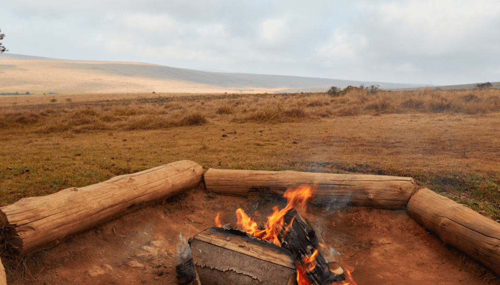 Nyika Plateau, Malawi_ Wildlife and Rolling Grasslands