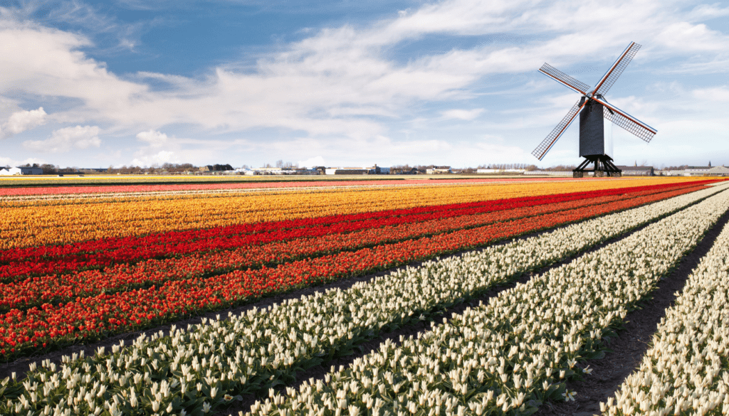 Outdoor Adventures in the Netherlands