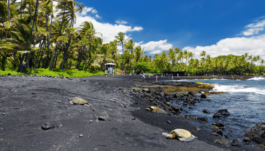 Punaluu Black Sand Beach, Big Island_ A Unique Wonder