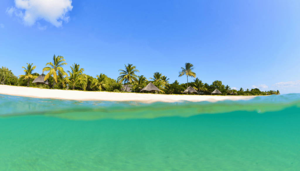 Quirimbas Archipelago, Mozambique_ Pristine Beaches and Marine Life