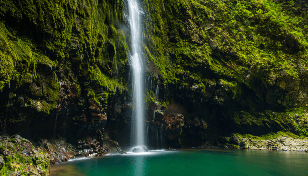 Renting a Car_ The Key to Madeira's Hiking Freedom