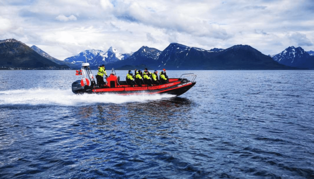 Ride the Waves on Thrilling RIB Boat Tours