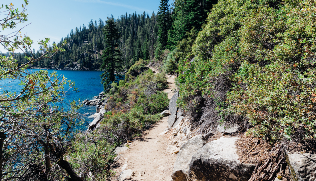 Rubicon Trail