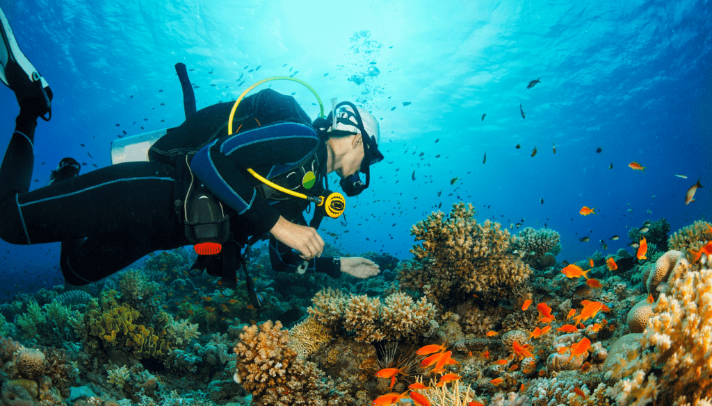 Scuba Diving in Fujairah_ Explore the Deep Blue