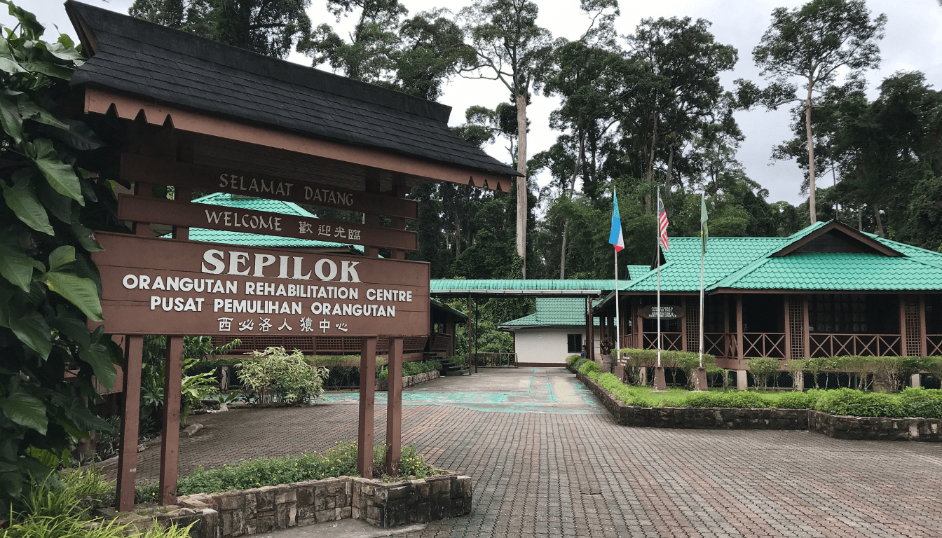 Sepilok Orangutan Rehabilitation Center