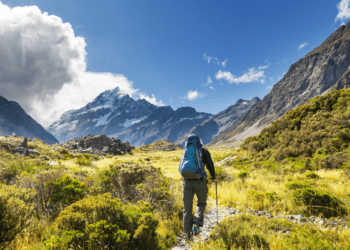 Solo Traveler's Guide to New Zealand Adventures