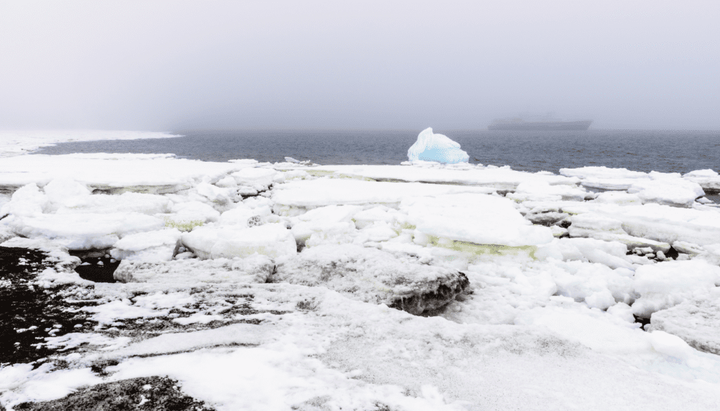 South Shetland Islands_ A Wildlife Haven