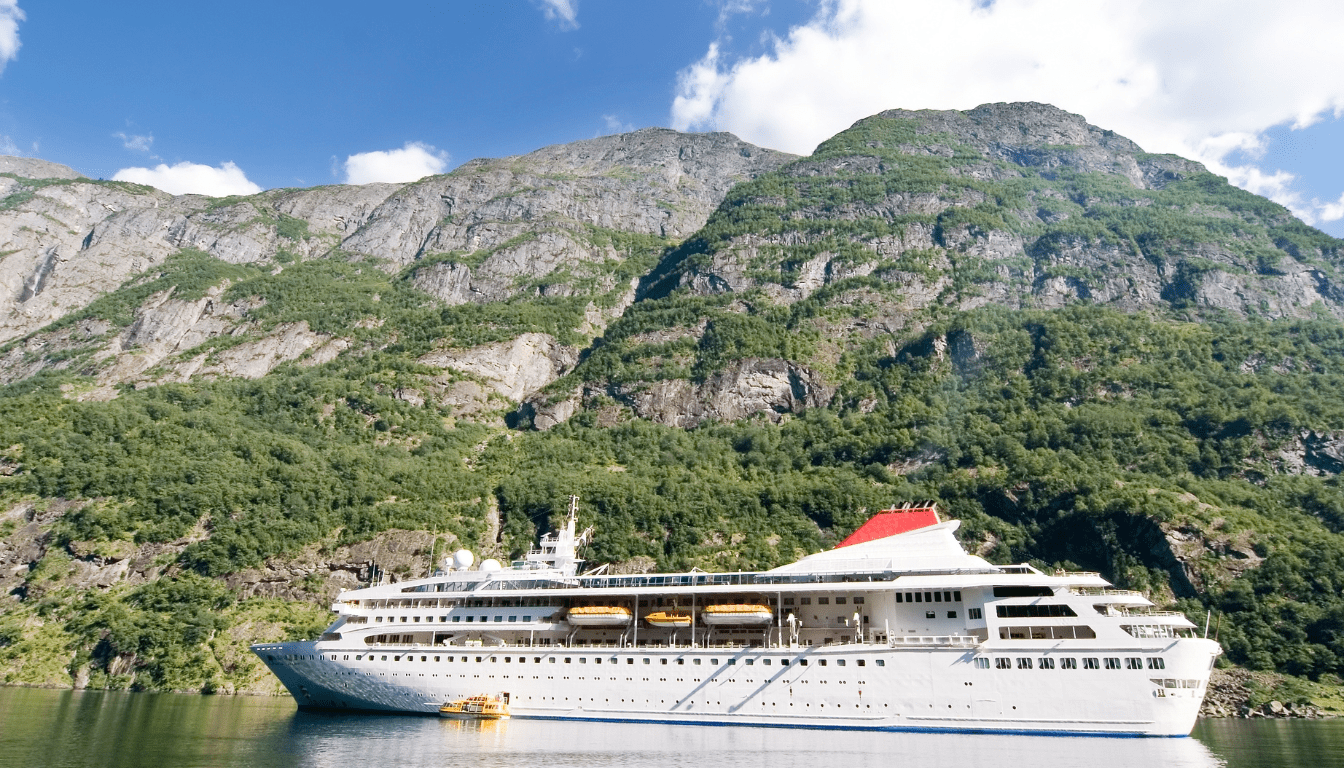 Spotting Wildlife on Coastal Cruises