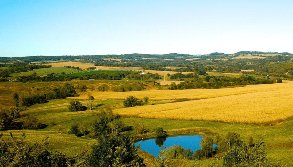 The Allure of the Midwest