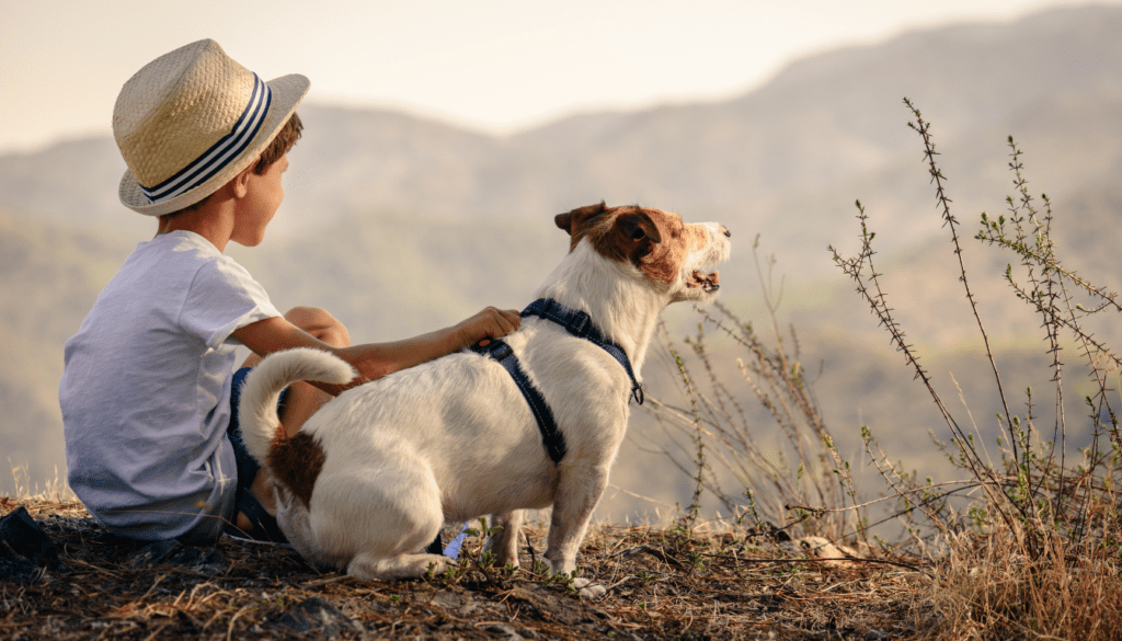 The Best Destinations for Travelers with Pets