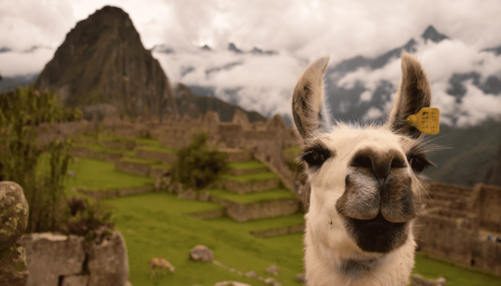 The Magic of Machu Picchu, Peru