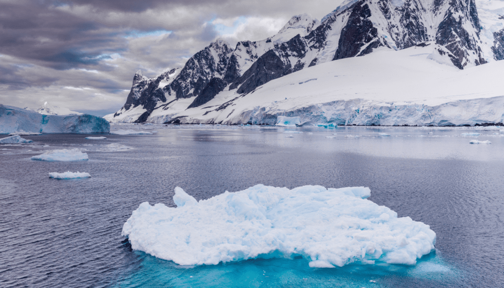 The Tendril of Adventure_ The Drake Passage