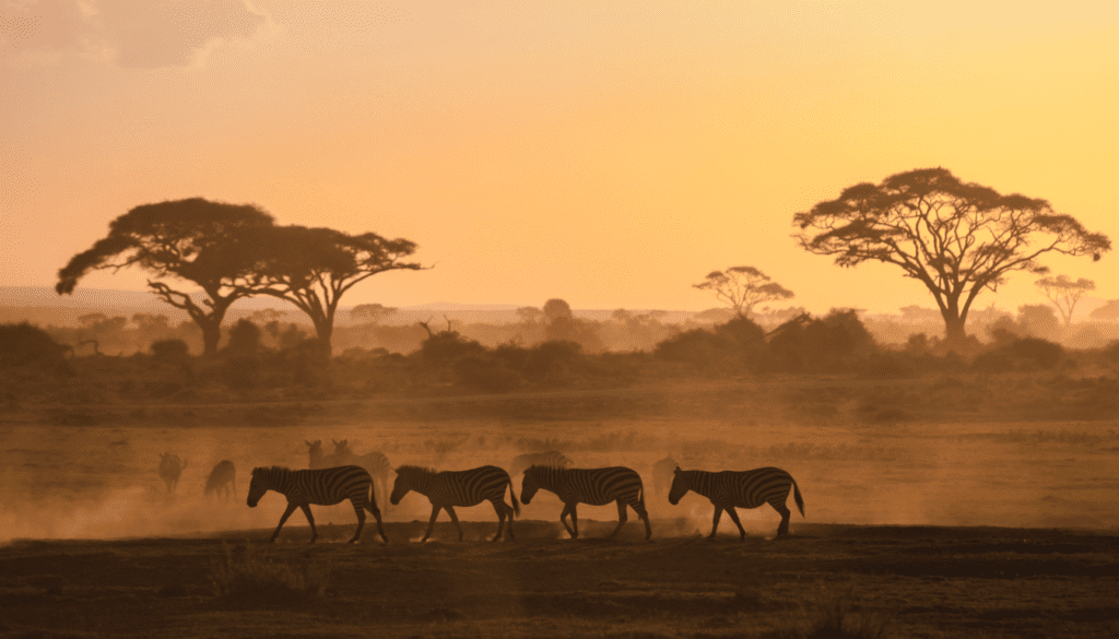 Travelling in Africa_ Hidden Gems to Discover