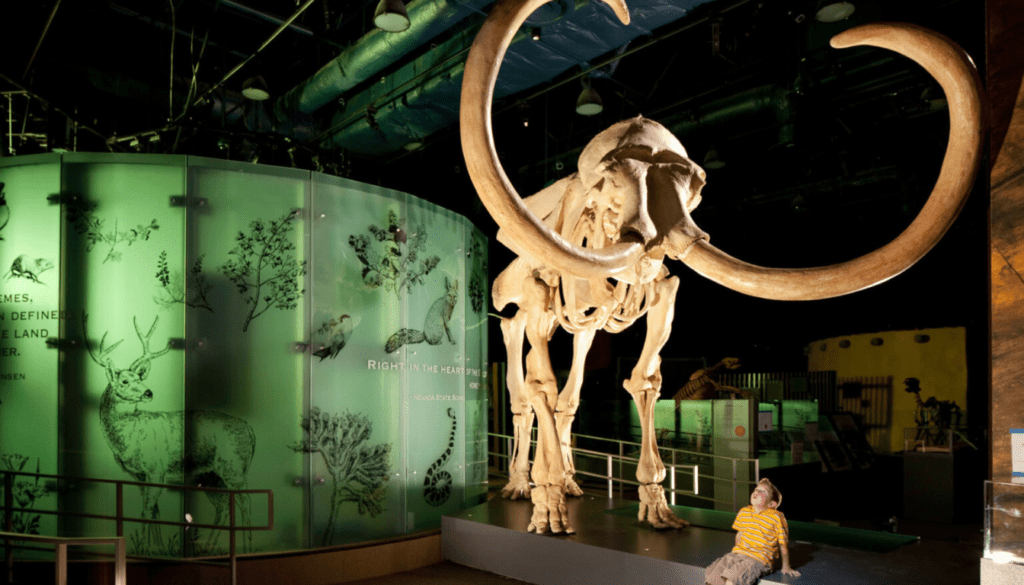 Uncover Las Vegas' Hidden Gems-Nevada State Museum