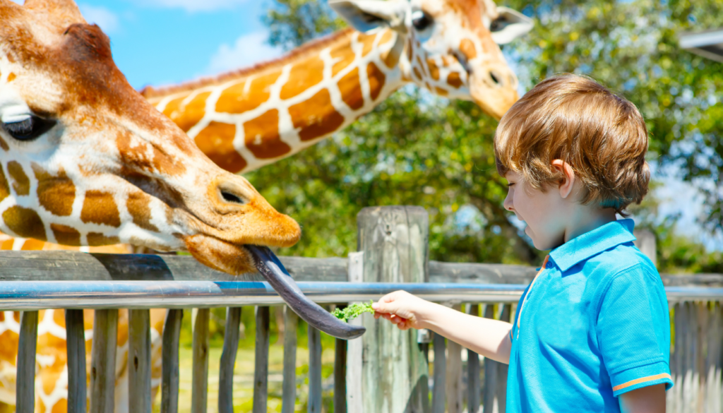 Unleash Your Inner Adventurer at Zoo Miami