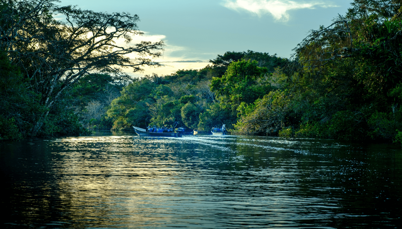 Unveiling Ecuador's Amazonian Treasures