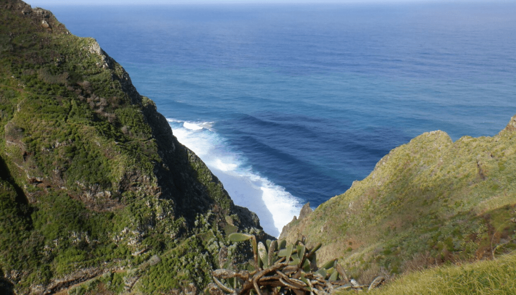 Vereda da Ladeira_ A Coastal Descent