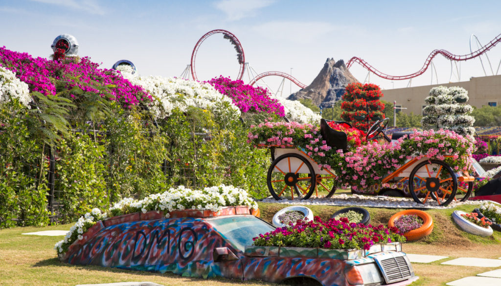 Wander Through the Vibrant Dubai Miracle Garden