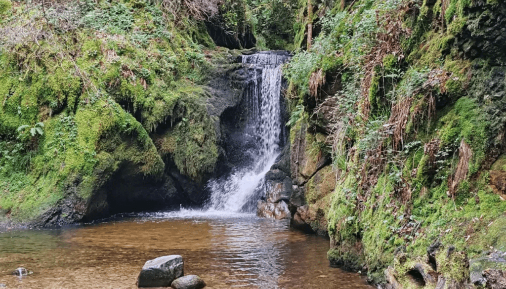 Waterfall Hiking Trails