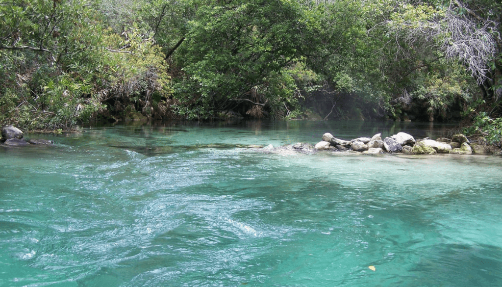 Weeki Wachee_ City of Live Mermaids