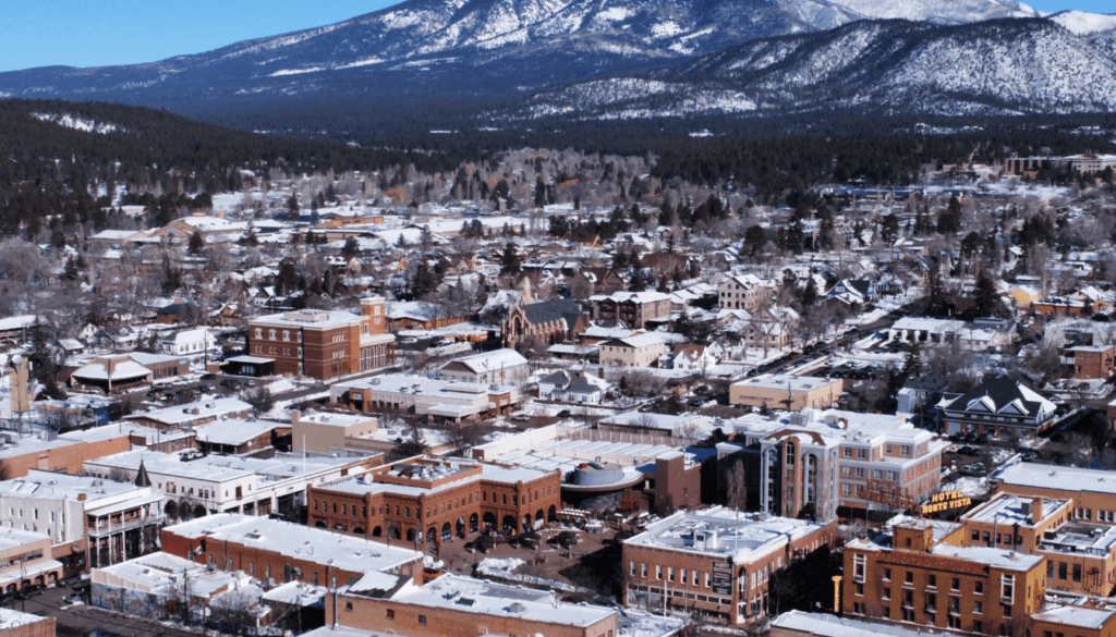 Why Flagstaff, Arizona is Perfect for a Pet Vacation