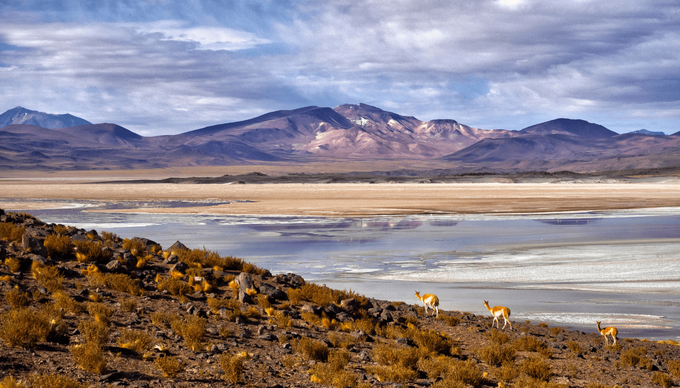 Wildlife Photography Tours