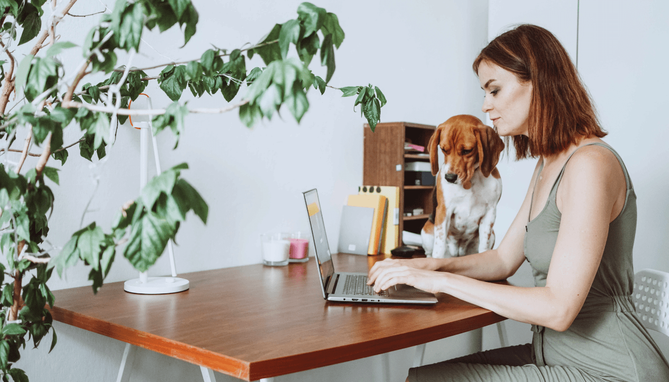 Working With Pets