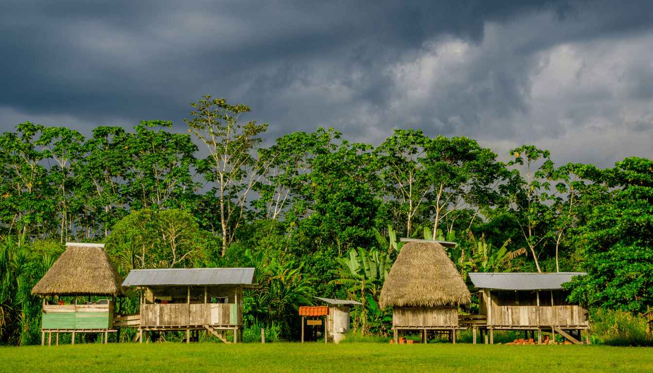 Yasuni National Park_ The Most Biodiverse Place on Earth