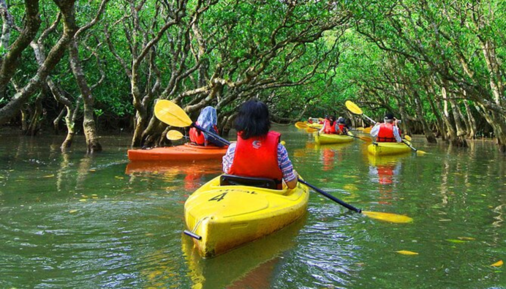 adventure activities in the UAE_ Kayaking through Mangroves