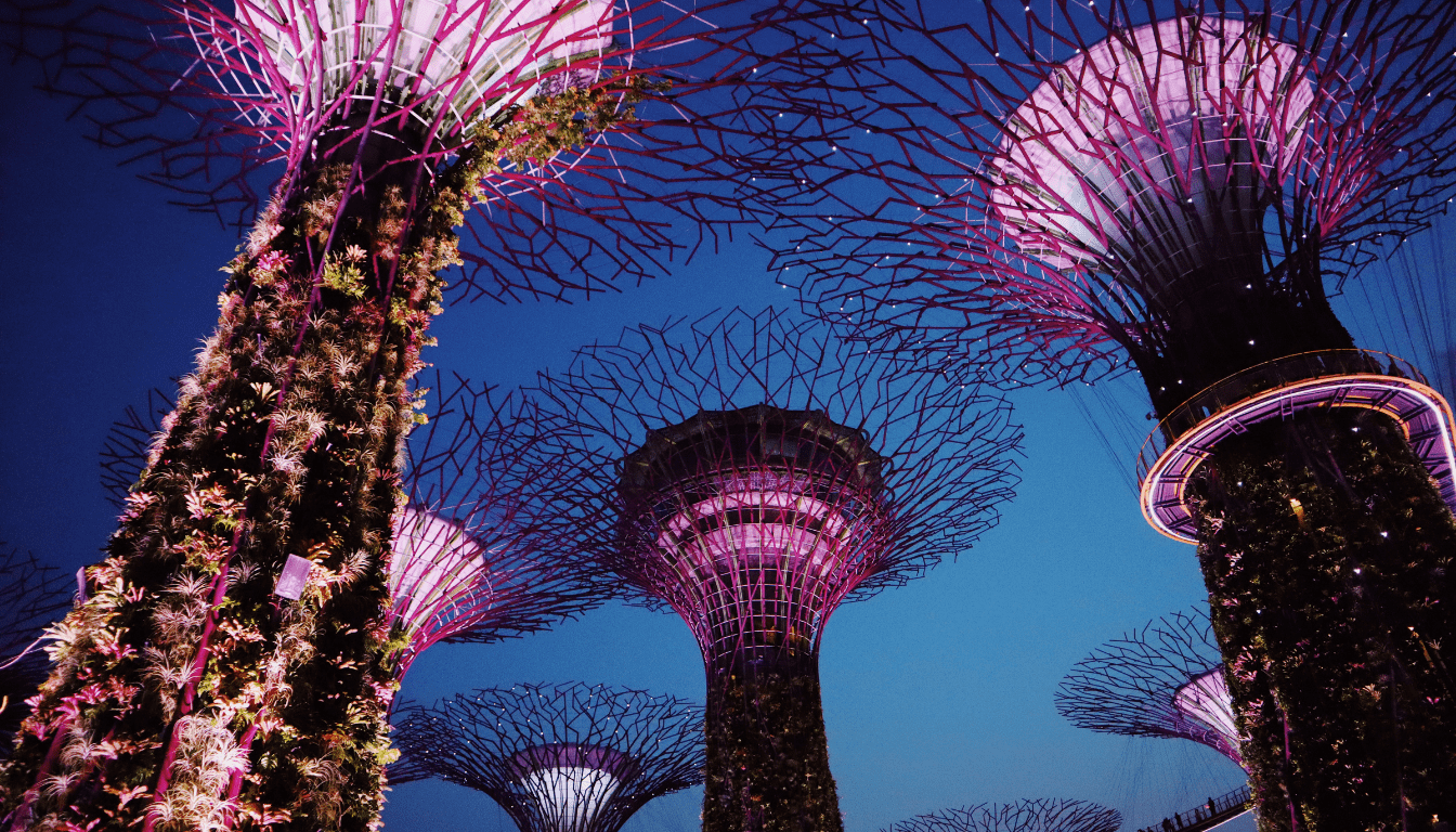 Breathtaking Horticultural Wonders Across the Globe