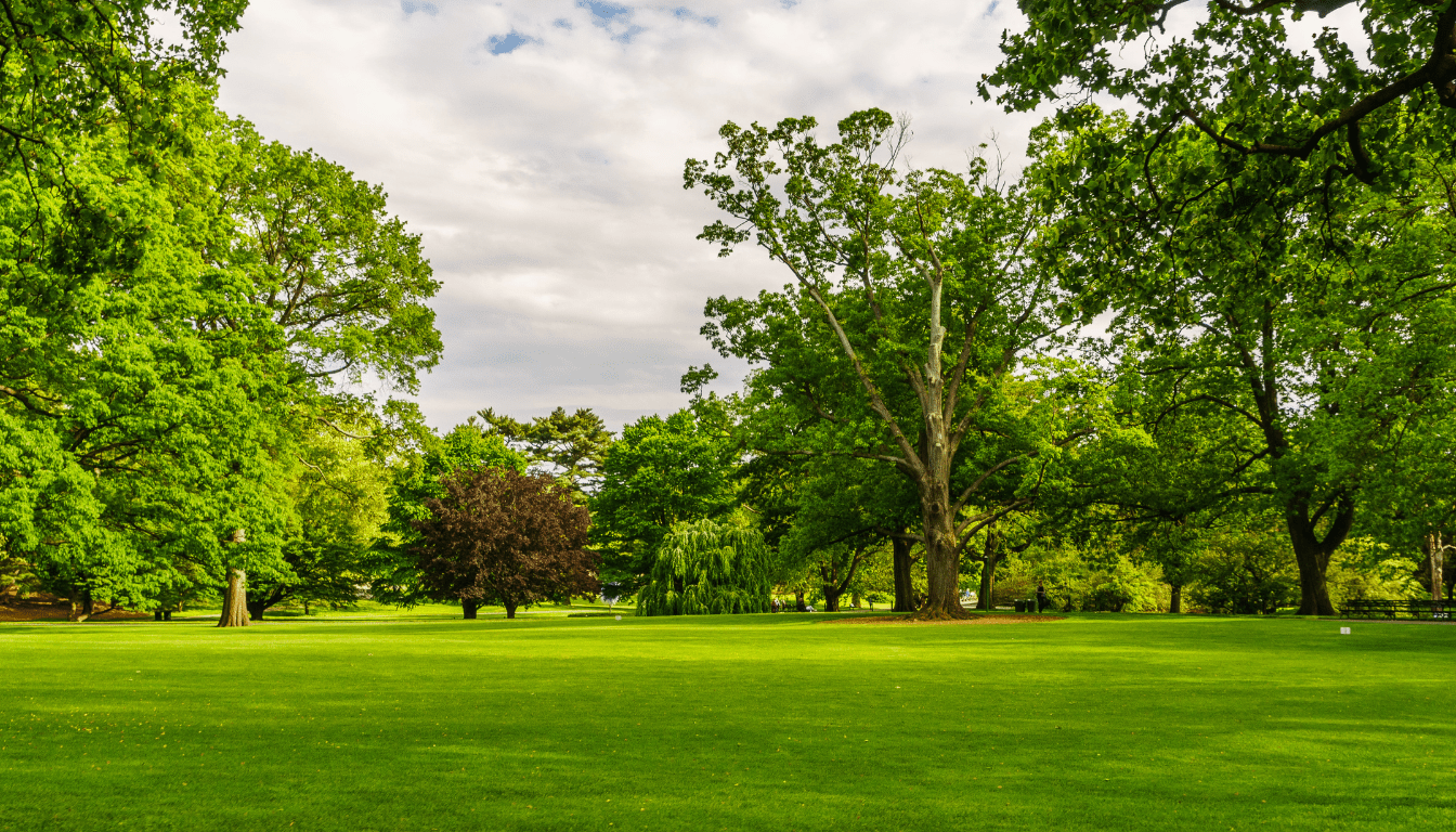 Discovering the Marvels of the New York Botanical Garden