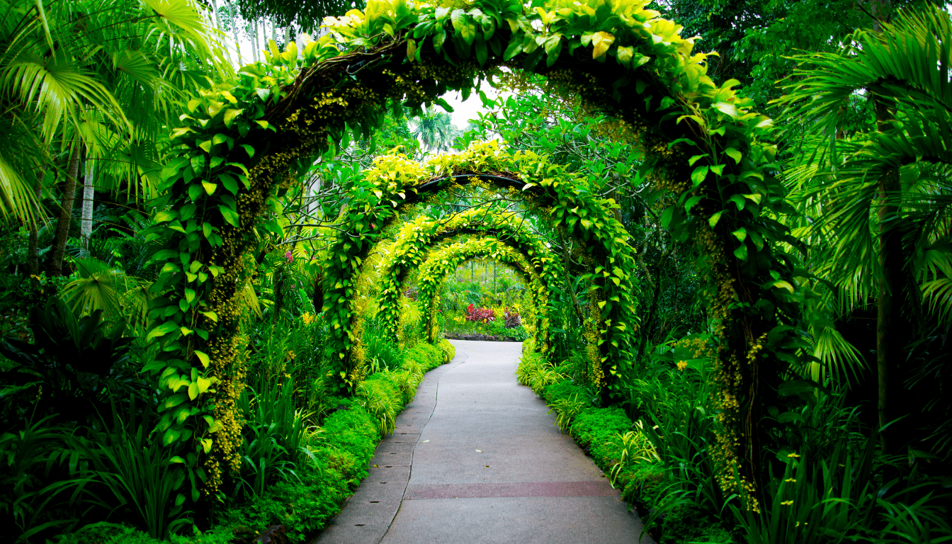 Exploring the Enchanting Singapore Botanic Gardens