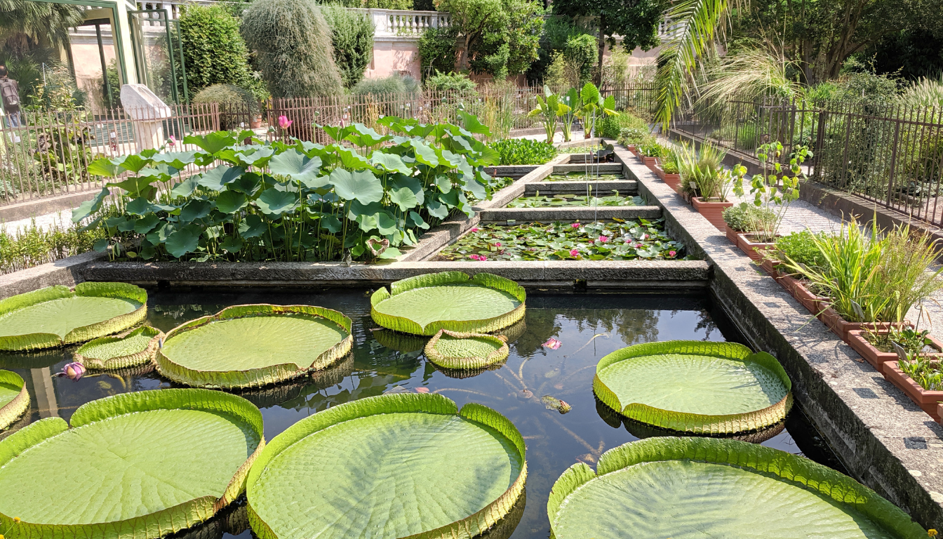 Journey Through Time at the Orto botanico di Padova