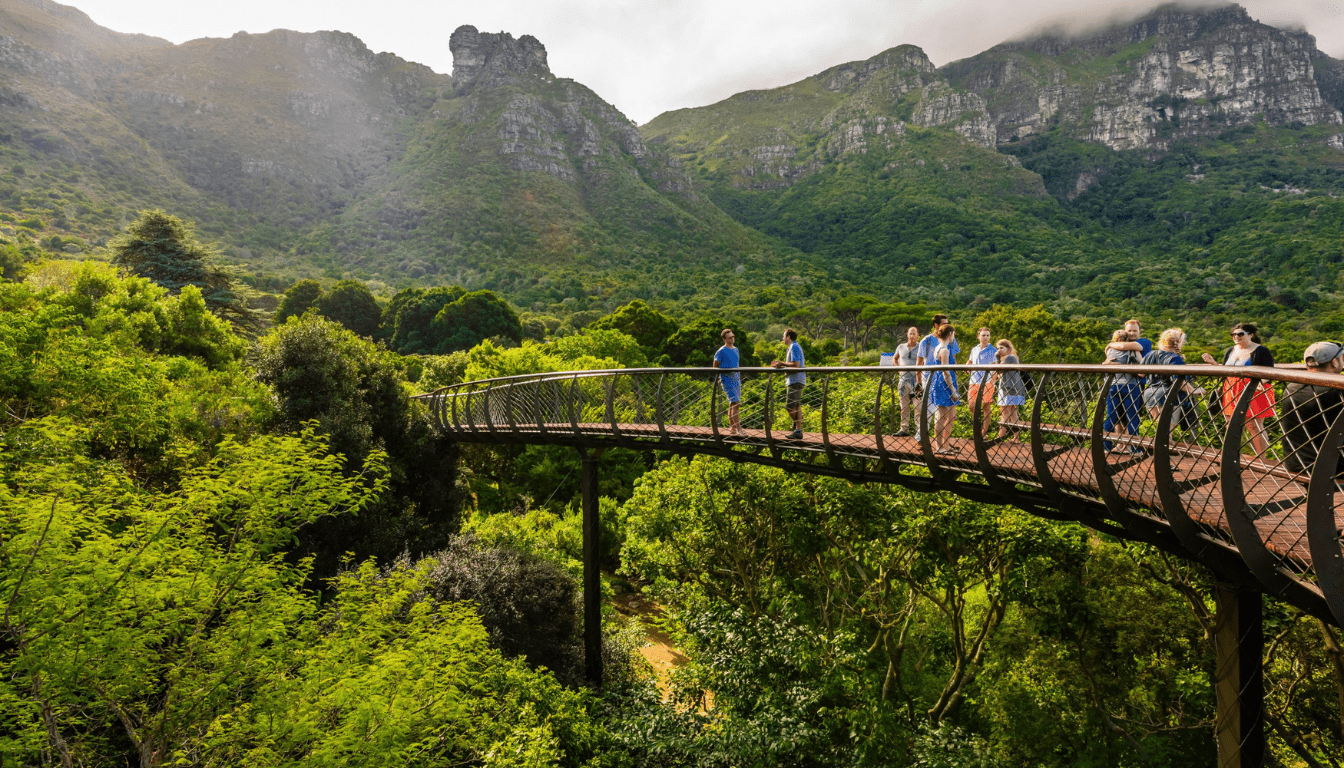 The Captivating Beauty of Kirstenbosch National Botanical Garden