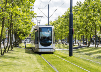 Transportation Tips_ Getting Around in a New City