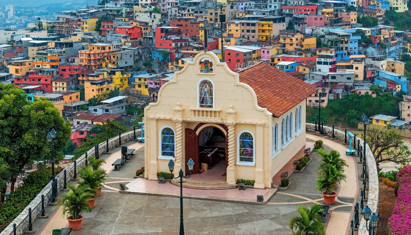 Ecuador_ The Heart of Cacao 🇪🇨