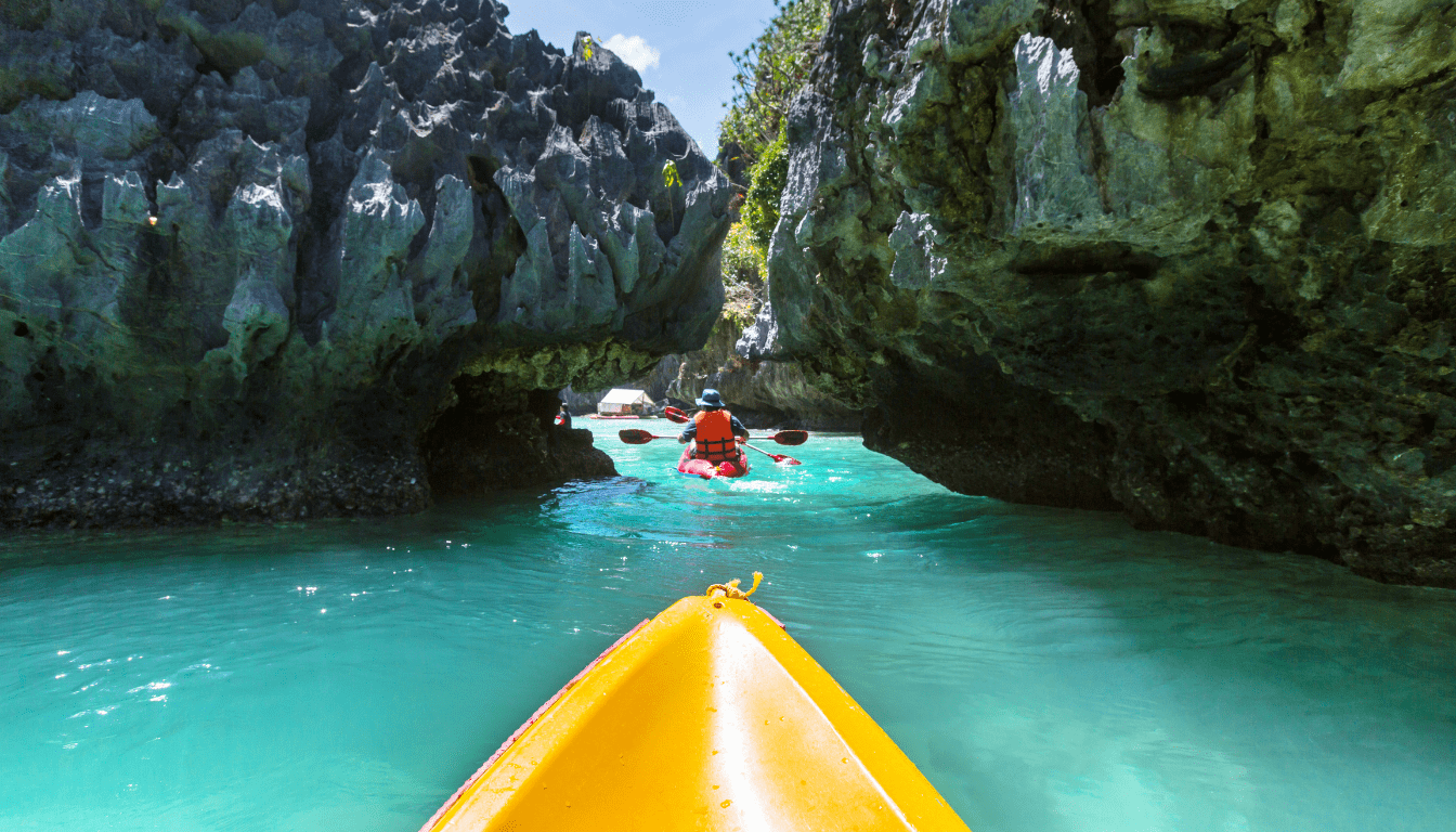 Paddling with Wildlife_ Encountering Nature Up Close