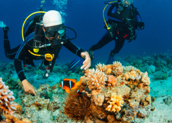 Secrets of the Sea_ Best Diving & Snorkeling Spots