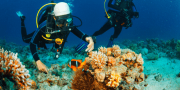 Secrets of the Sea_ Best Diving & Snorkeling Spots