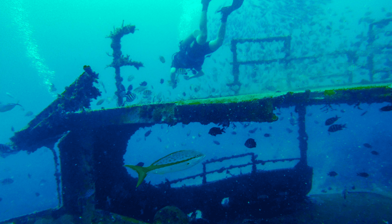 Shipwreck Diving_ Unraveling the Mysteries of Sunken Vessels